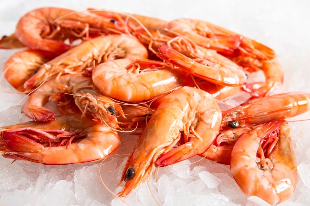 Fresh prawns sat on ice