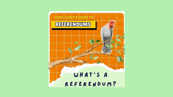 What's a referendum?