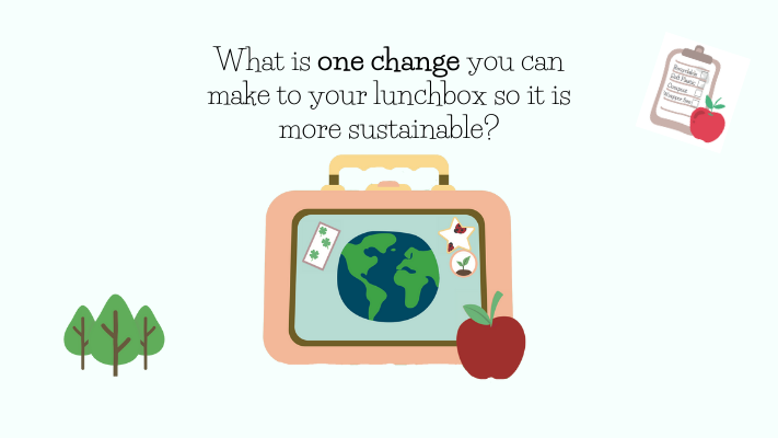 Sustainable changemakers – lunchbox citizens