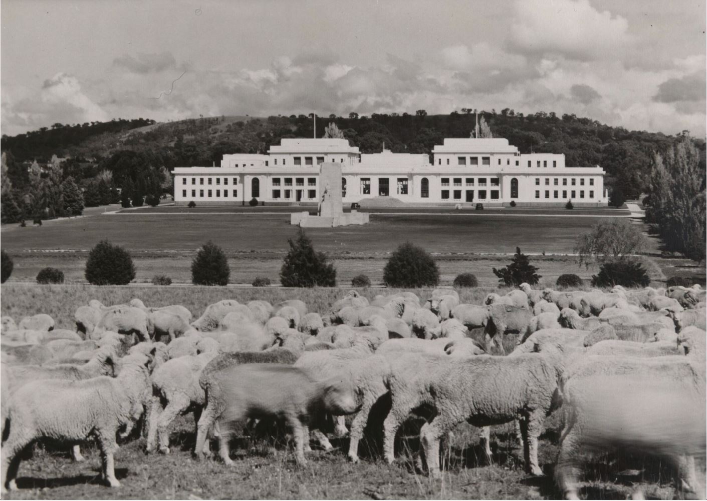 Old Parliament House, with a stone monument out the front and in the foreground a flock of sheep.