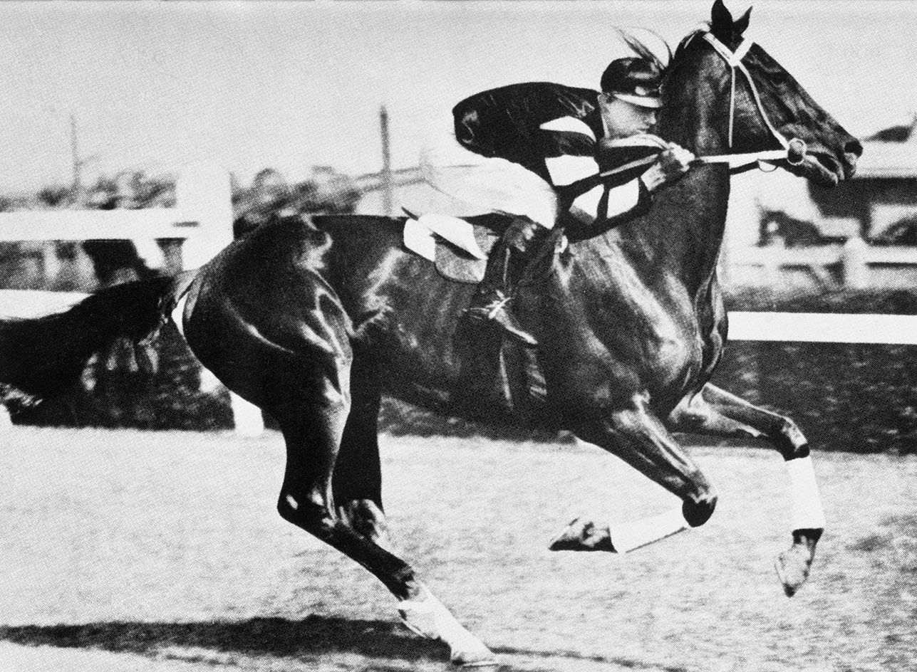 A jockey is riding on Phar Lap, who is mid-stride.