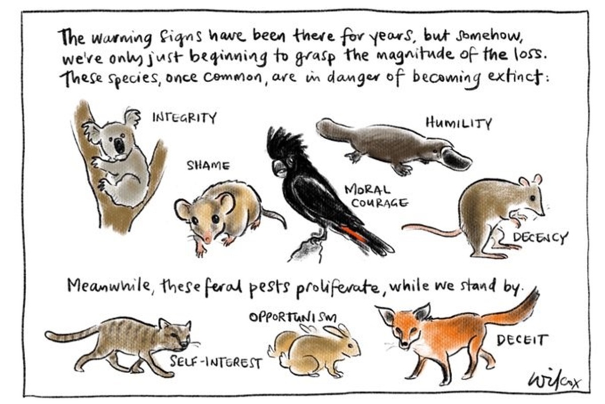 Native animals are labelled as good moral attributes. Pests are labelled as undesirable traits. Text says native species/good traits are at danger of becoming extinct, whilst 'feral pests proliferate.'