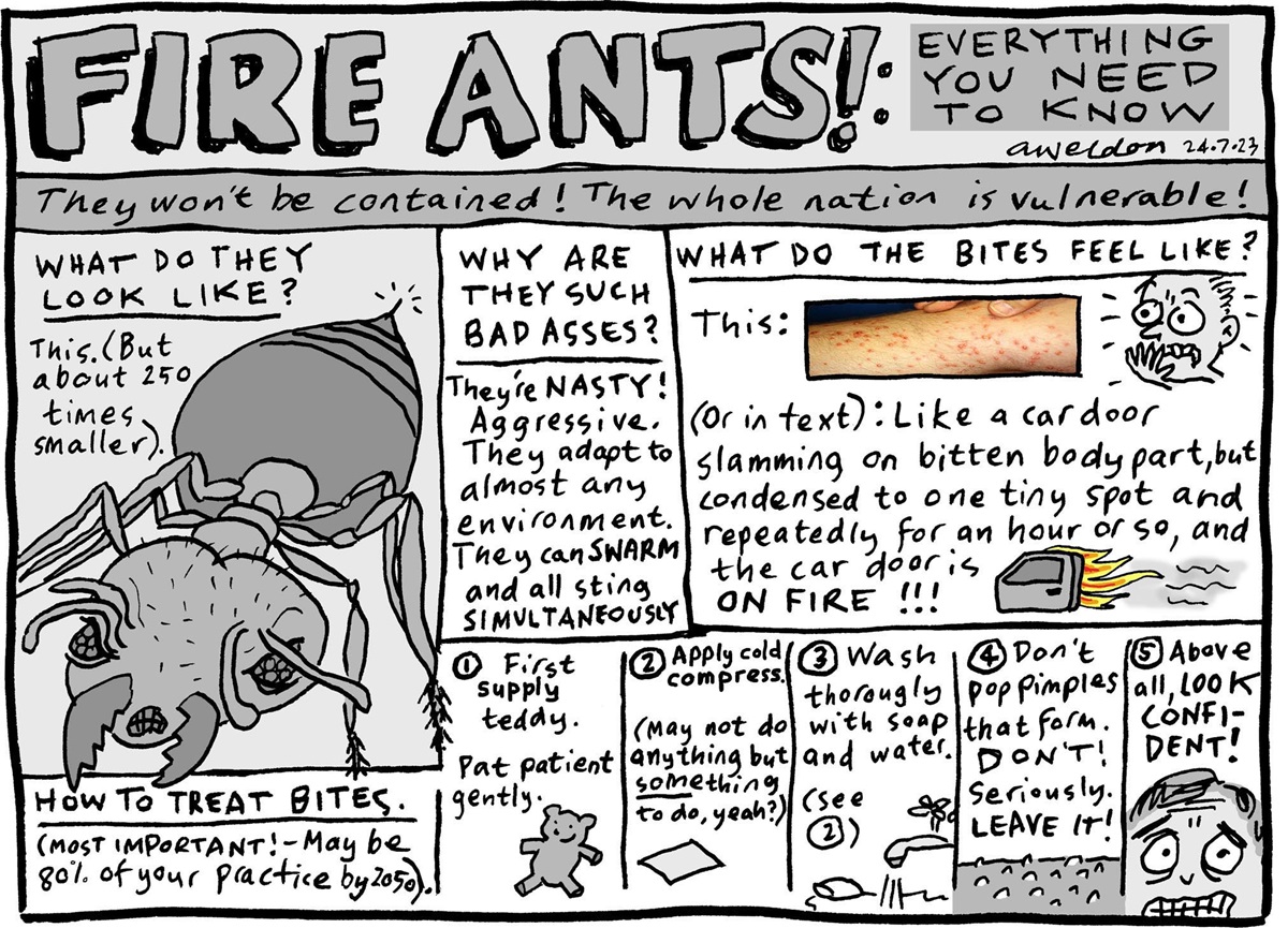 A description of fire ants, their bites and how to treat them.