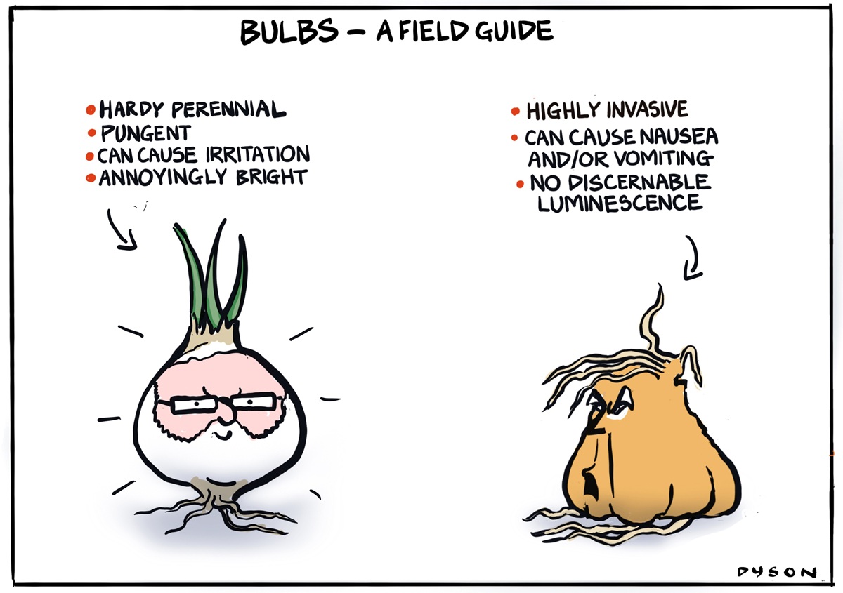 Text reads, 'Bulbs – a field guide.' Pointing to a plant bulb with green shoots that looks like former Prime Minister Kevin Rudd, text reads, 'Hardy Perennial, pungent, can cause irritation, annoyingly bright.' Other text, pointing to a yellowing bulb with wilting roots and shoots and featuring Donald Trump's face, reads, 'Highly invasive, can cause nausea and/or vomiting, no discernible luminescence.' 