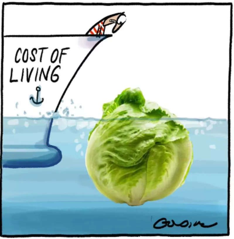 A cartoon featuring a person looking over the front of a boat at an iceberg lettuce. The boat says 'cost of living' on the side of it. A cartoon featuring a person looking over the front of a boat at an iceberg lettuce. The boat says 'cost of living' on the side of it.