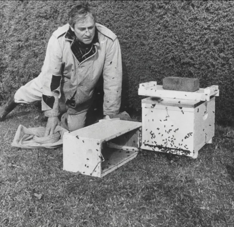 A man kneels on the ground next to a beehive.