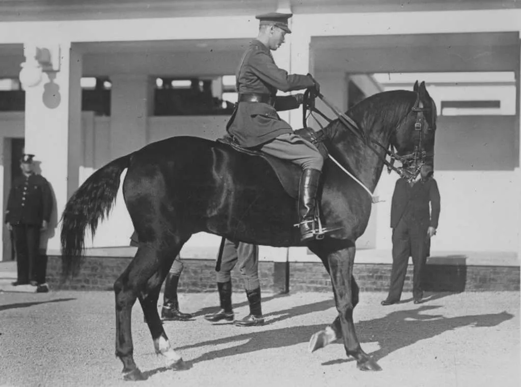 Prince Albert, Duke of York, riding a dark horse with two white 'socks'.