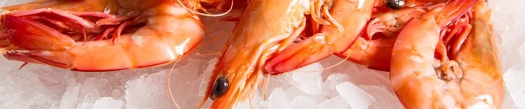 Fresh prawns sat on ice