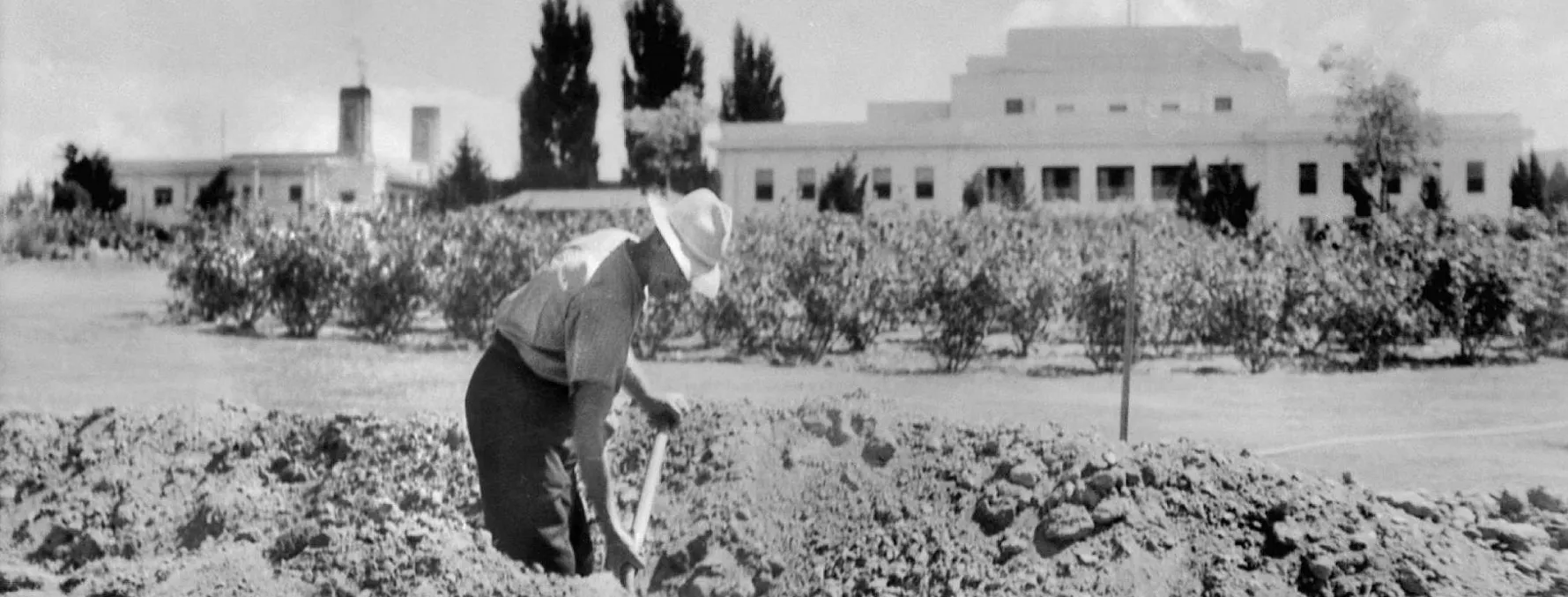 Workmen digging trenches with Parliament House in the background.