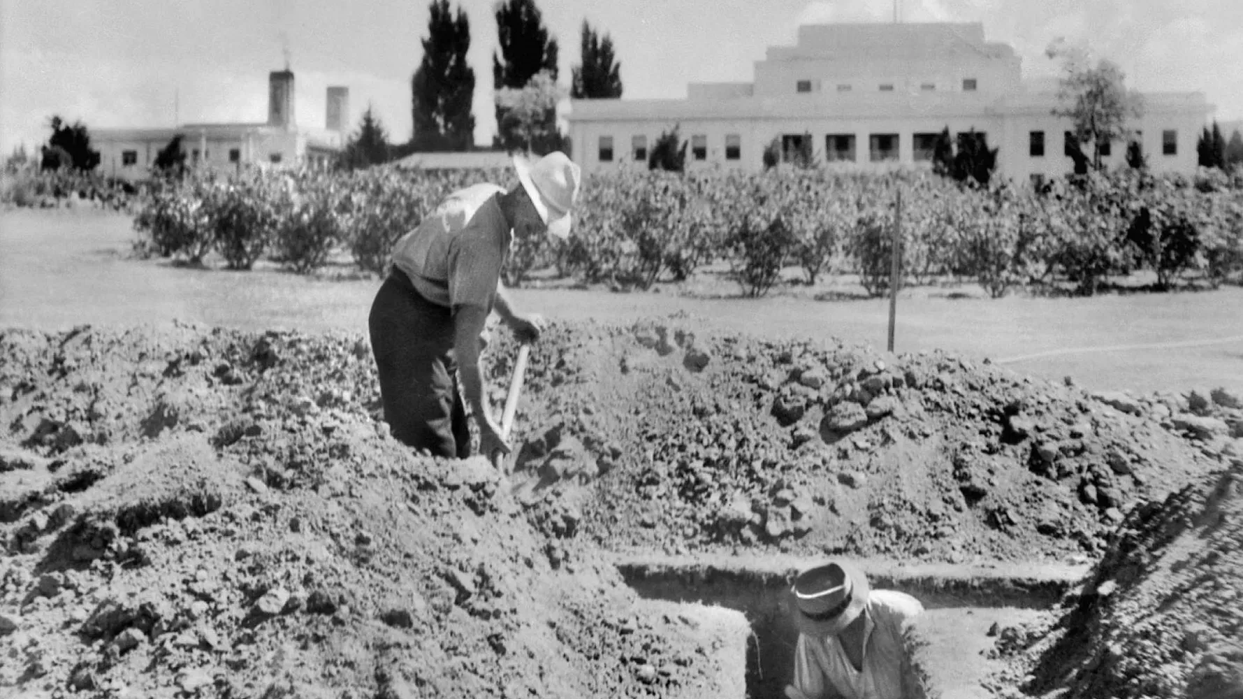 From tulips to trenches: comings and goings in the Old Parliament House Gardens