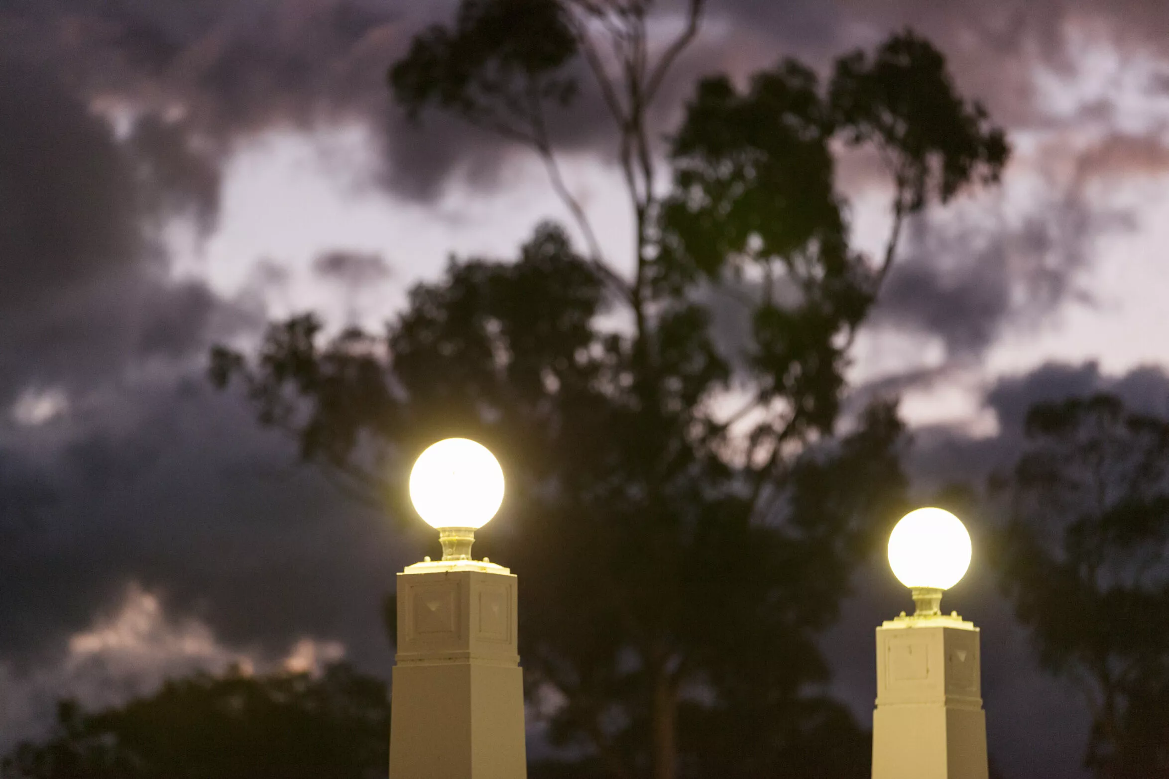 Two bright lights on pedestals with the night sky and a tree in the background.