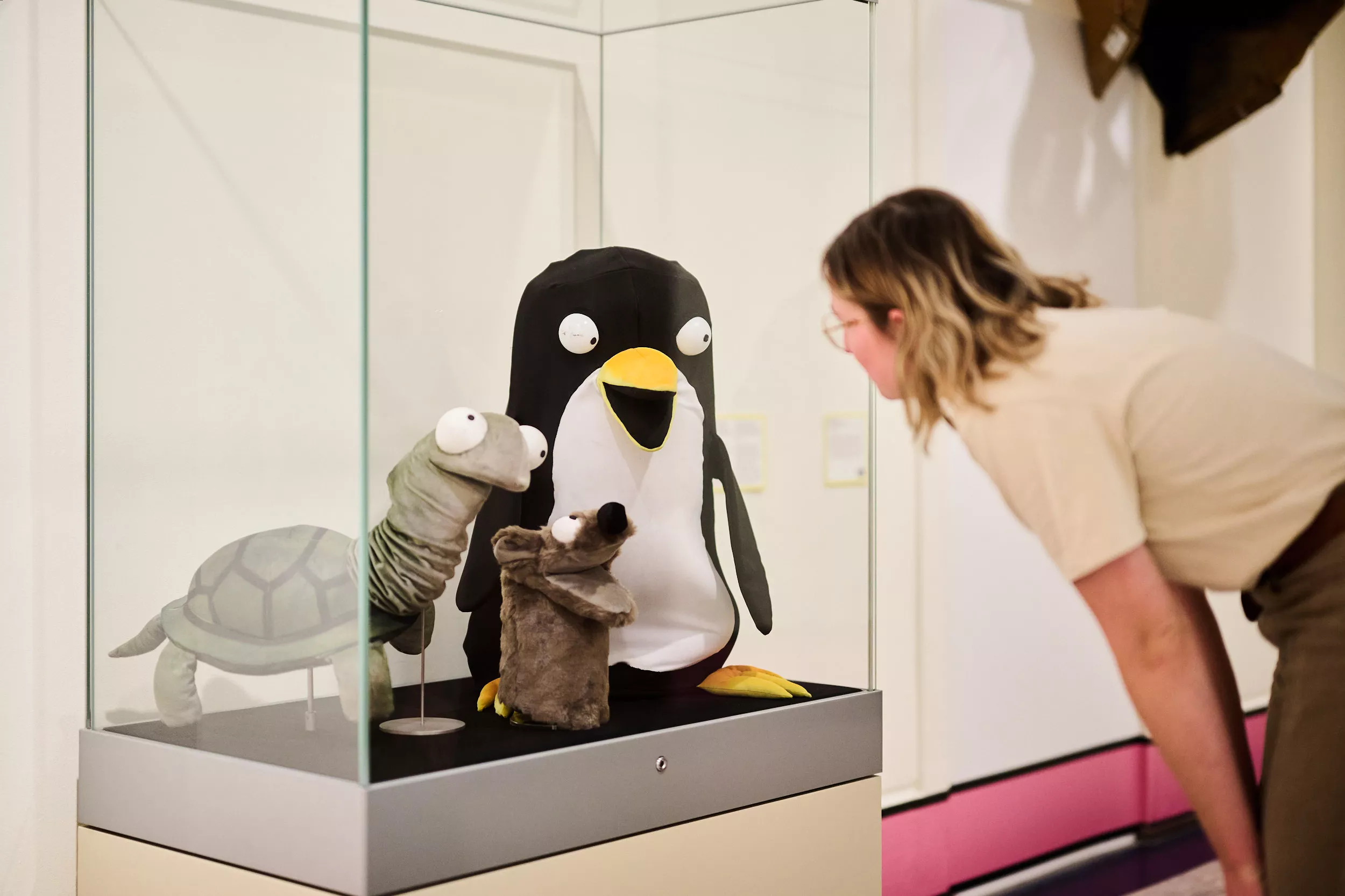 A person looks at a glass cabinet containing plush puppets of a penguin, turtle and dog. A person looks at a glass cabinet containing plush puppets of a penguin, turtle and dog.