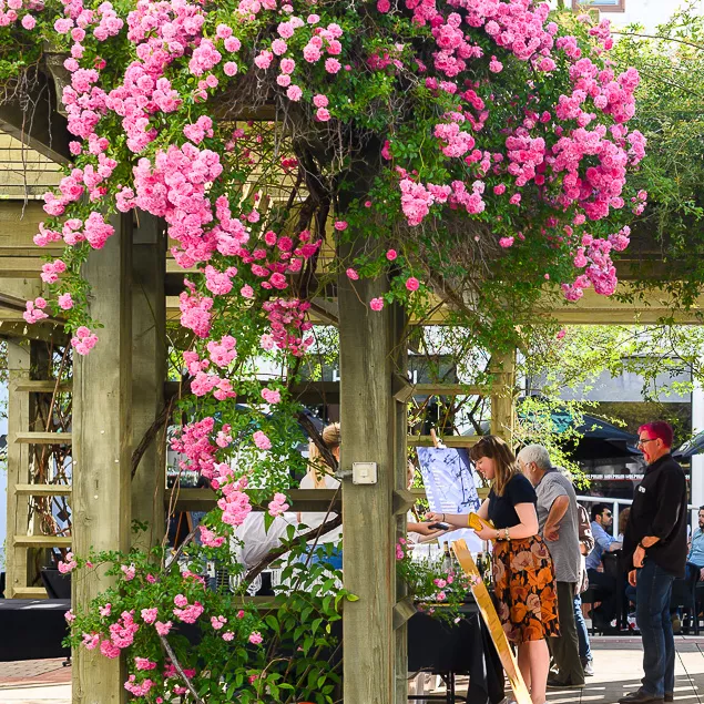 An outdoor bar with pink flowers around a gazebo.