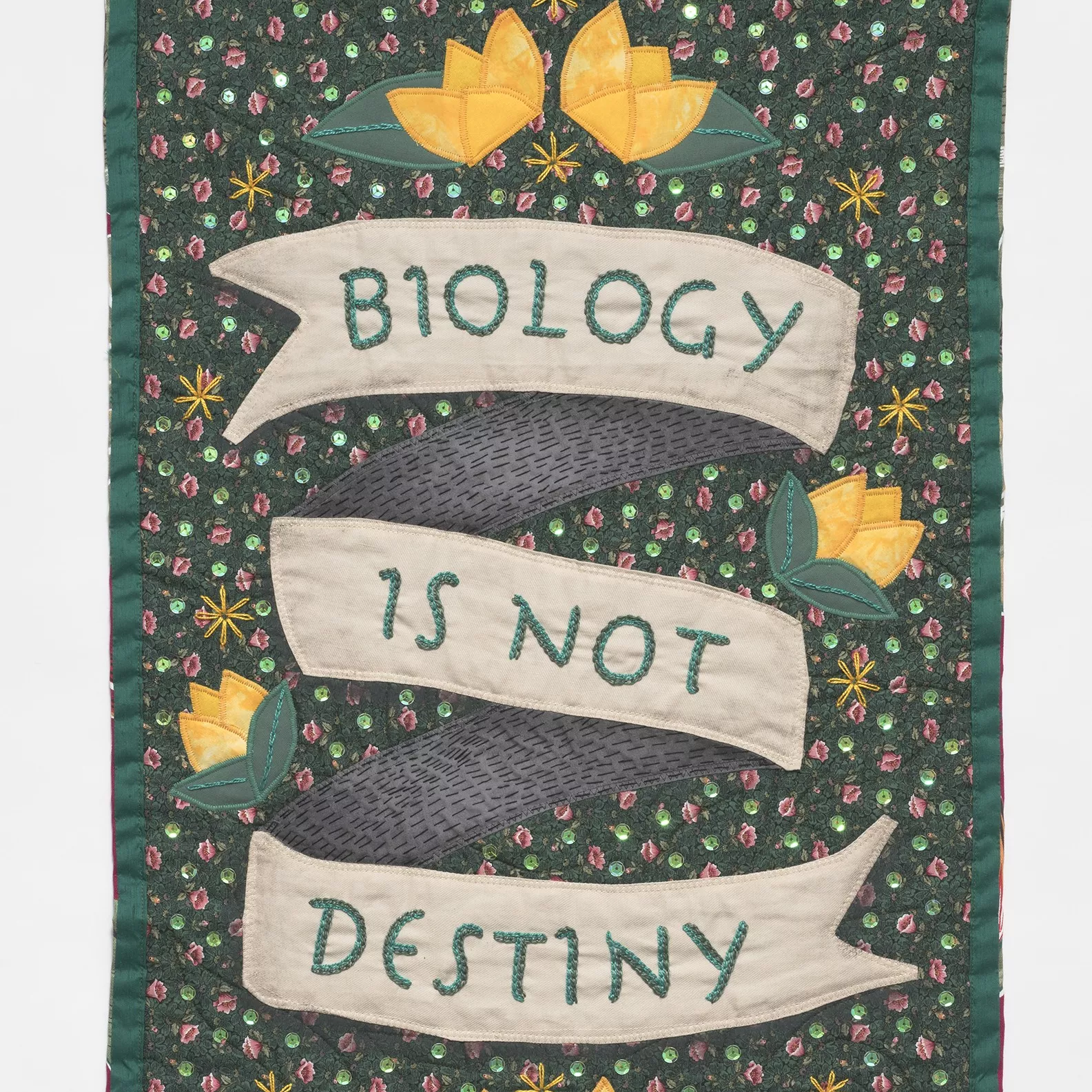 A green embroidered banner with the words 'biology is not destiny'.