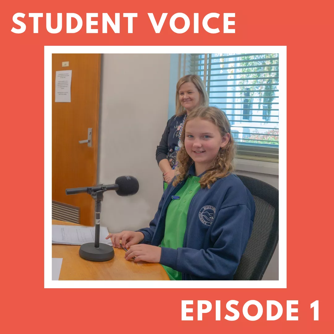 Student voice – what is it? 