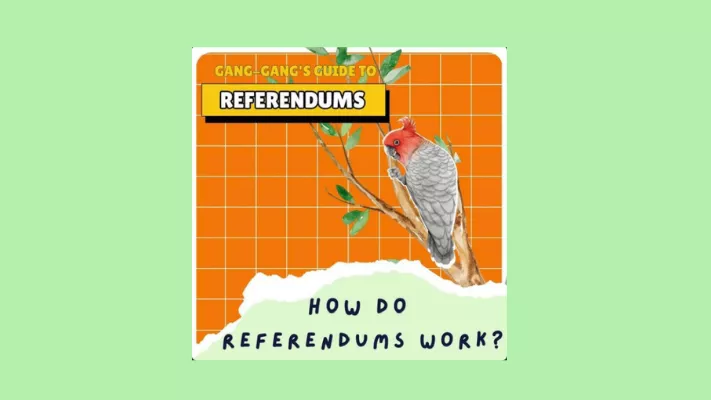 Gang Gang's guide to referendums podcast how do referendums work page.