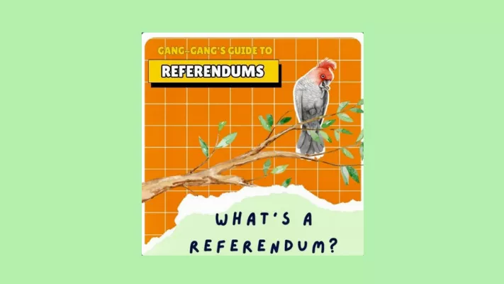 What&#039;s a referendum?